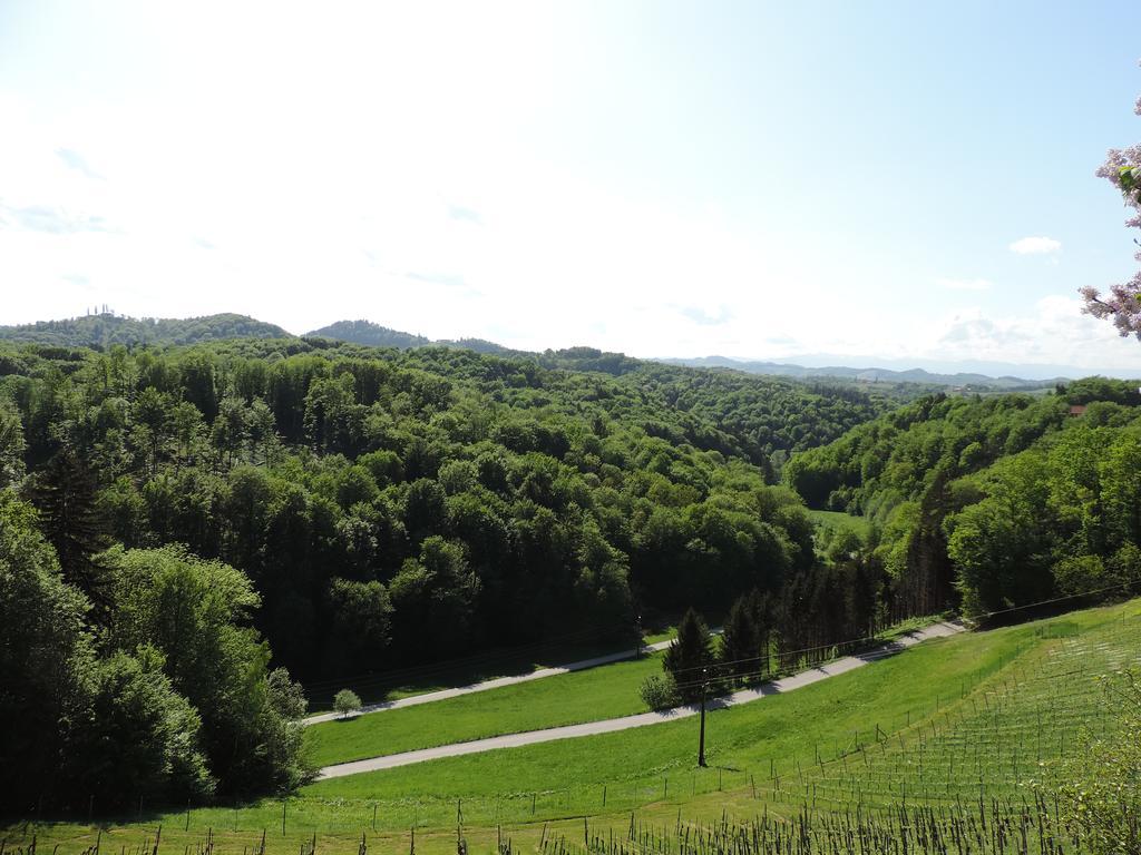 Weingut Gaestezimmer Gruber Ehrenhausen Kültér fotó